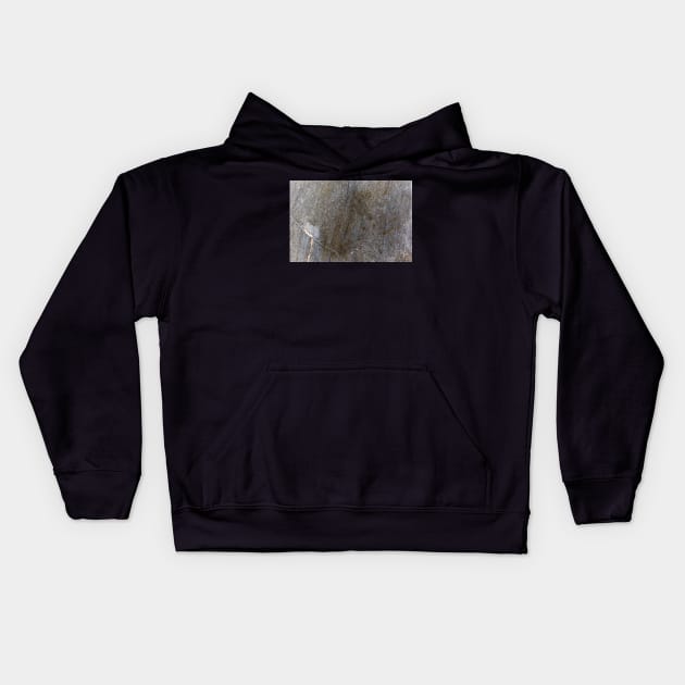 Braised Stone Texture Etched Kids Hoodie by textural